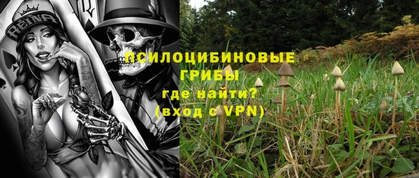 бошки Новодвинск