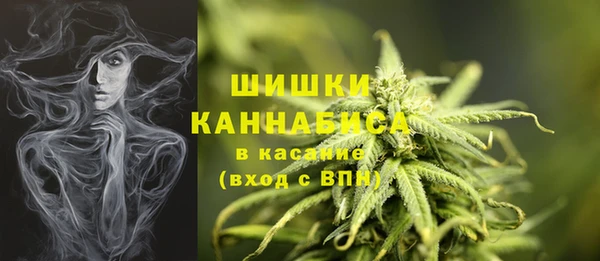 бошки Новодвинск
