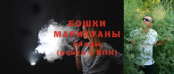 бошки Новодвинск