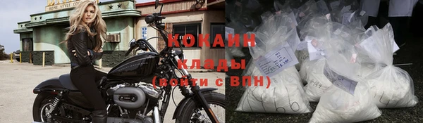 бошки Новодвинск