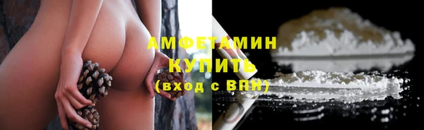 гидропоника Новозыбков