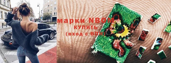 гидропоника Новозыбков