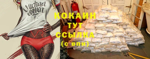 бошки Новодвинск