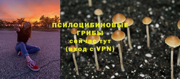 герыч Новокубанск