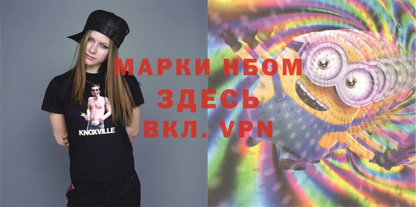 гидропоника Новозыбков