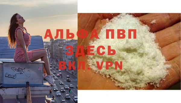 бошки Новодвинск