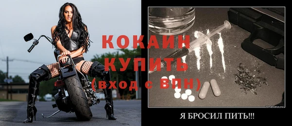 гидропоника Новозыбков