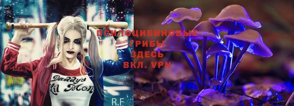 СК Нея